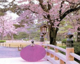 �����̕��i2